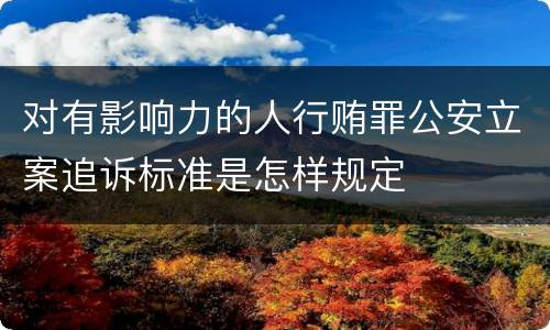 对有影响力的人行贿罪公安立案追诉标准是怎样规定
