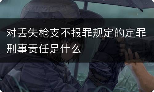对丢失枪支不报罪规定的定罪刑事责任是什么