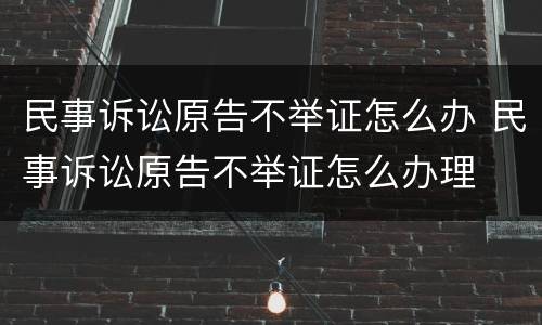 民事诉讼原告不举证怎么办 民事诉讼原告不举证怎么办理