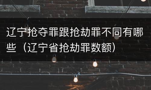 辽宁抢夺罪跟抢劫罪不同有哪些（辽宁省抢劫罪数额）