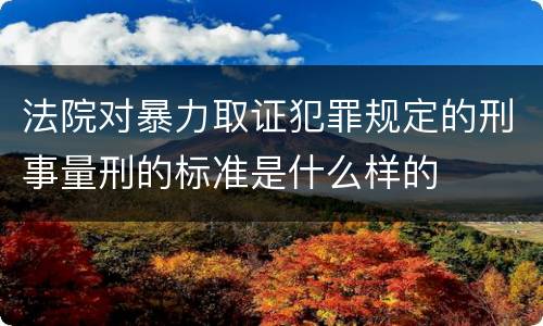 法院对暴力取证犯罪规定的刑事量刑的标准是什么样的