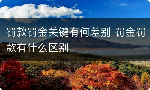 罚款罚金关键有何差别 罚金罚款有什么区别