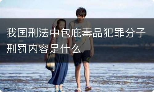 我国刑法中包庇毒品犯罪分子刑罚内容是什么
