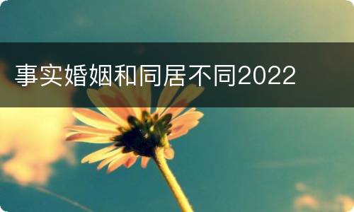 事实婚姻和同居不同2022