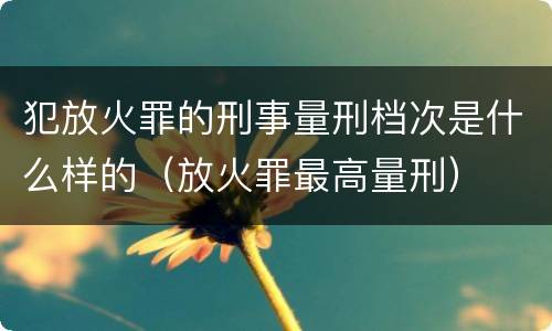 犯放火罪的刑事量刑档次是什么样的（放火罪最高量刑）