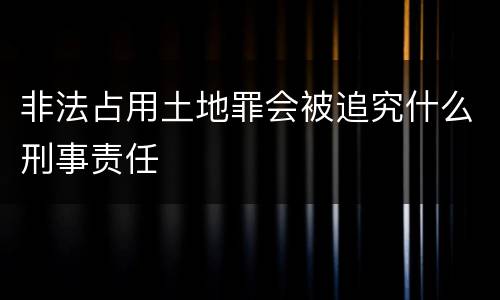 非法占用土地罪会被追究什么刑事责任