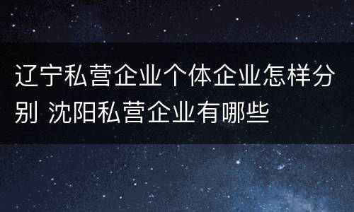辽宁私营企业个体企业怎样分别 沈阳私营企业有哪些