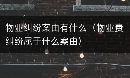 物业纠纷案由有什么（物业费纠纷属于什么案由）